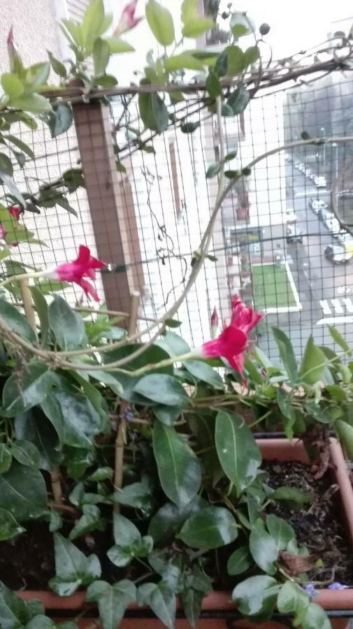 شقة Vittadinisette بافيا المظهر الخارجي الصورة